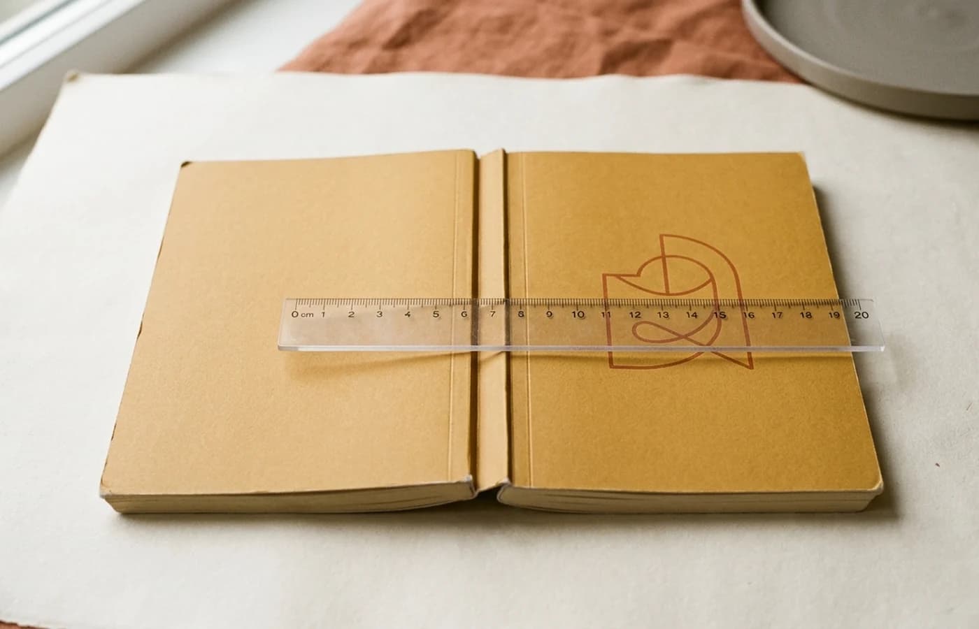 A paperback book lying open and flat photographed from above, showing back, spine, and front as one continuous panel, with a clear ruler across the spine