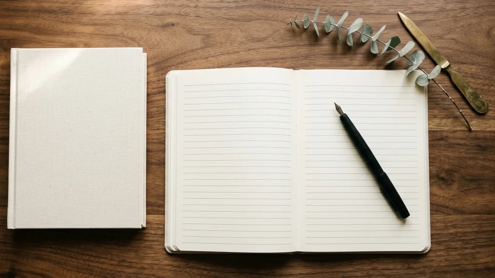 Editorial overhead shot of an open blank lined journal with a matte black fountain pen resting on the right page